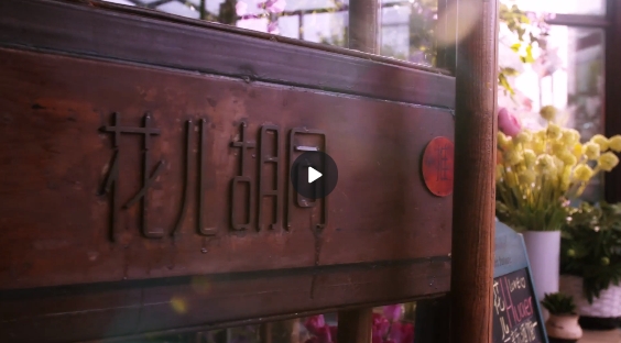 &#27431;&#23453;&#32593;&#39029;&#29256;&#45;&#27431;&#23453;&#40;&#20013;&#22269;&#41;